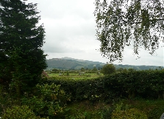 View to front